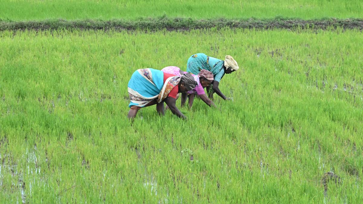 Launch of National Mission on Natural Farming