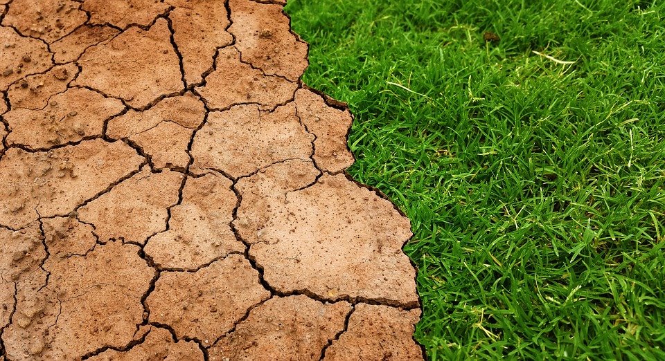 Severe drought in Turkey