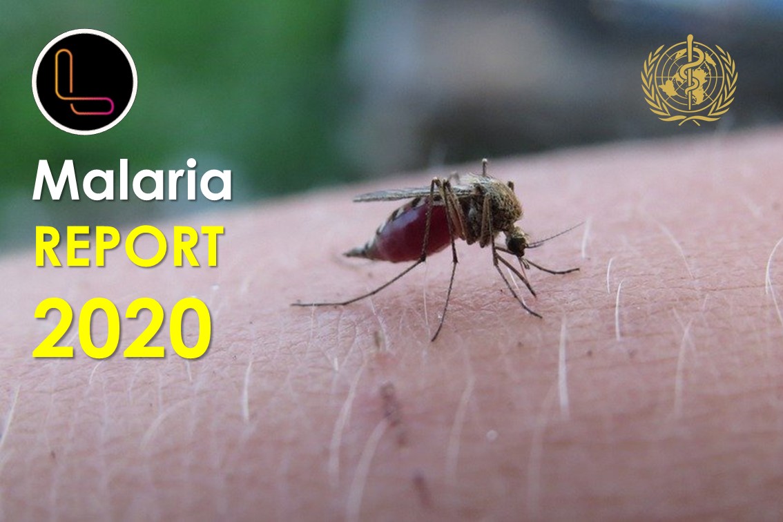 WHO World Malaria Report 2020