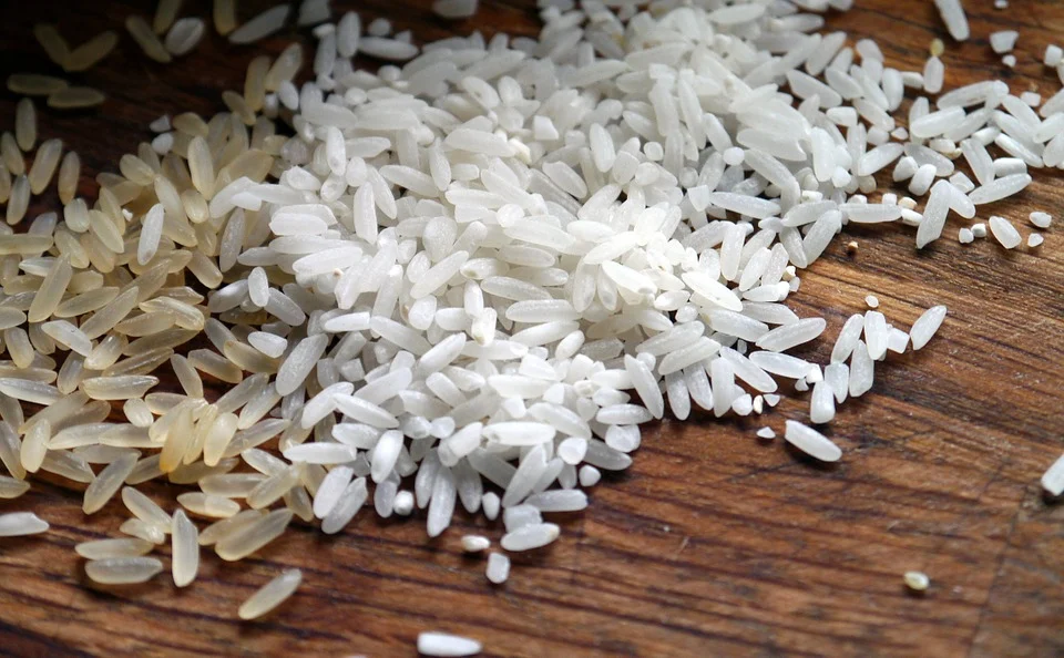 India is exporting strictly Non GMO rice to World