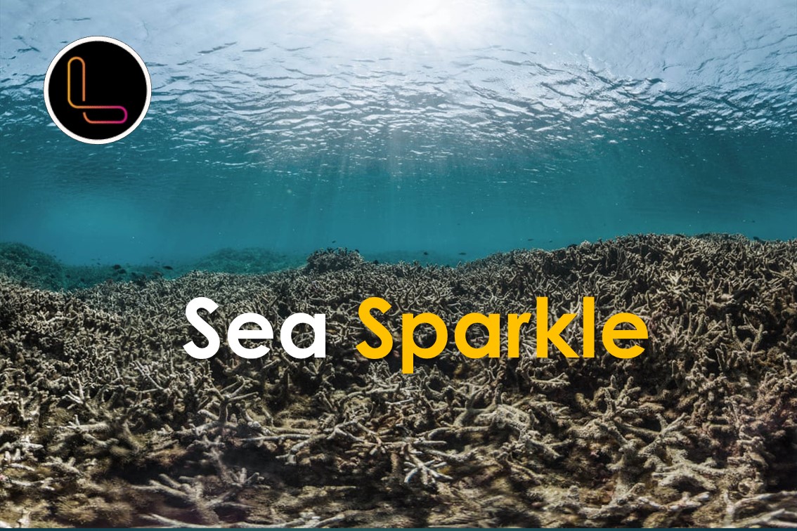 ‘Sea sparkle’ has affected marine food chain