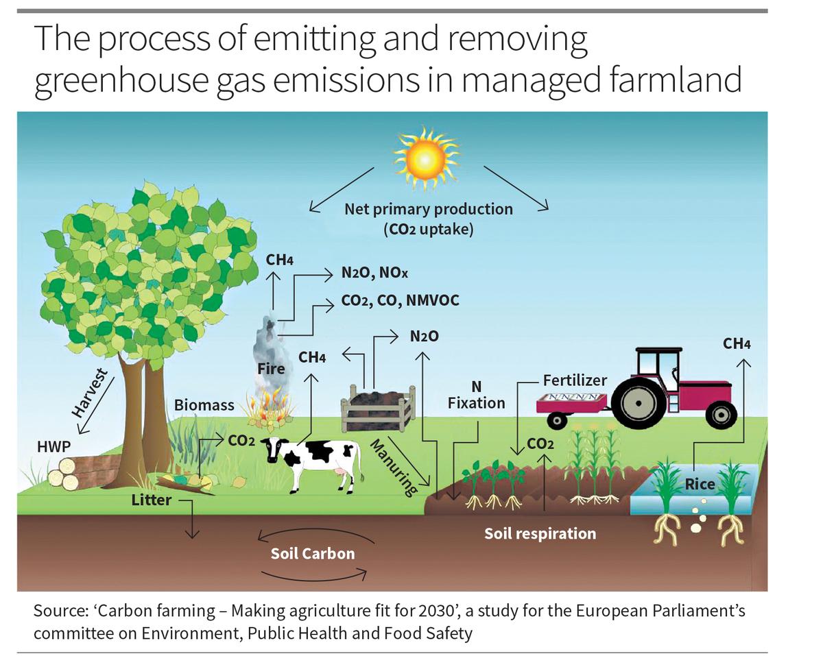 Carbon farming