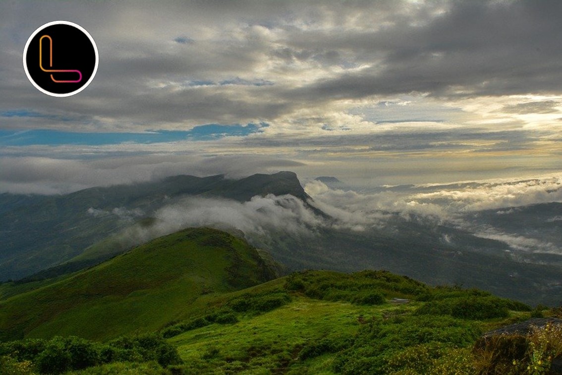 Bringing life back to Western Ghats grasslands