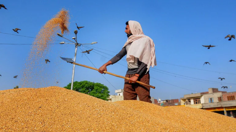 Centre extends free foodgrains under National Food Security Act