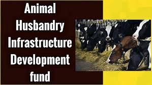 Cabinet approves extension of Animal Husbandry Infrastructure Development Fund