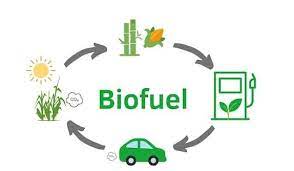 Global Biofuel Alliance (GBA)