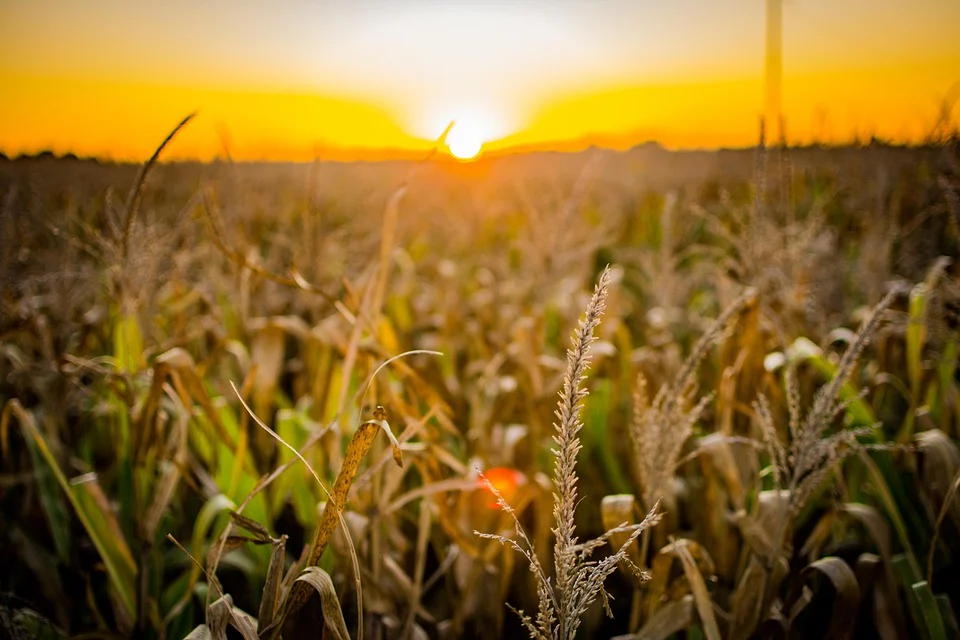 BRICS Partnership for Strengthening Agro Biodiversity