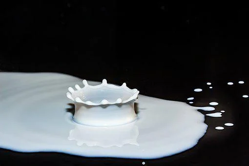 World Milk Day