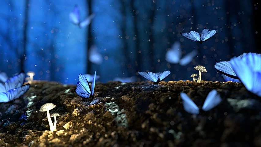 White Tufted Royal Butterfly