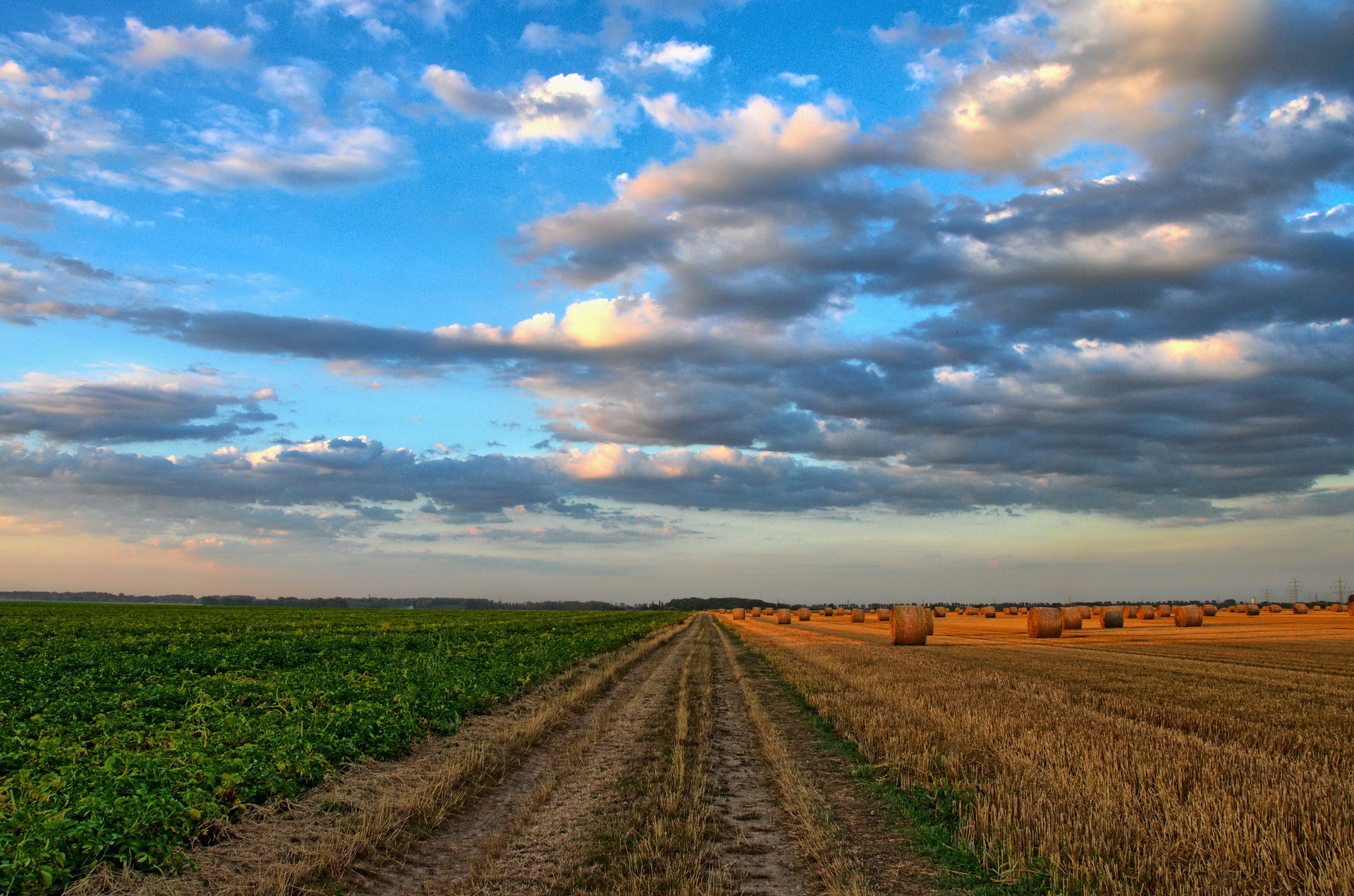 Rajasthan govt introduces three bills to negate impact of Centre’s farm laws