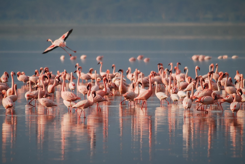 Assam’s 7th National Park