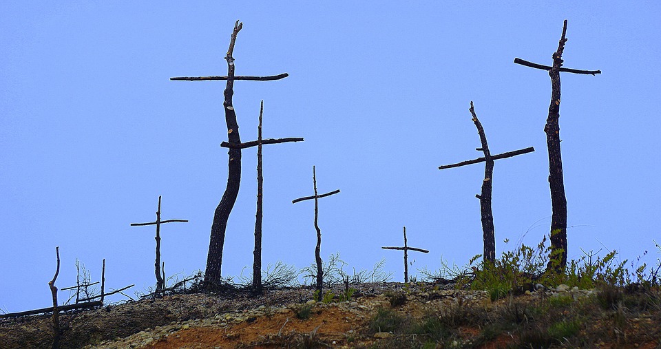 High-Level Dialogue on Desertification