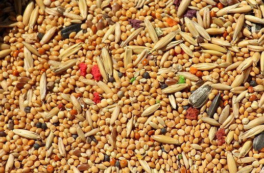 Agriculture ministry, NAFED sign MoU to boost international year of millets 2023