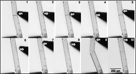 Materials that self-repair