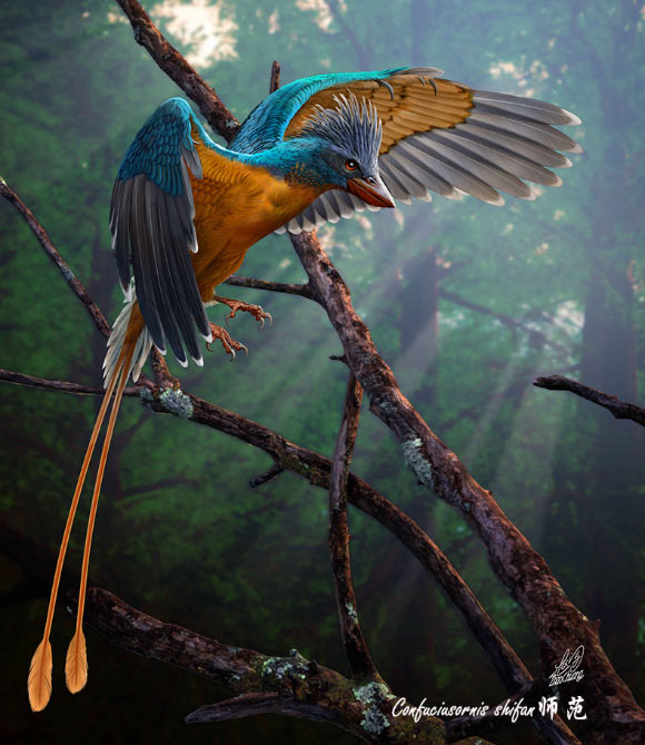Paleontologists Find Fossil of 119-Million-Year-Old Beaked Bird