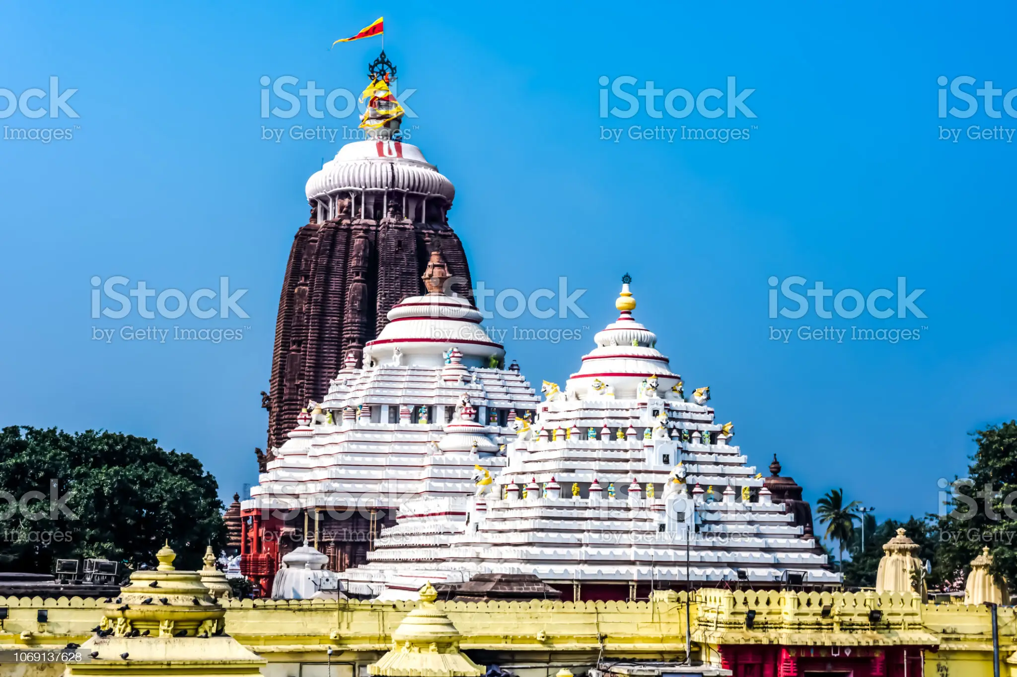 Lord Jagannath Puri yatra