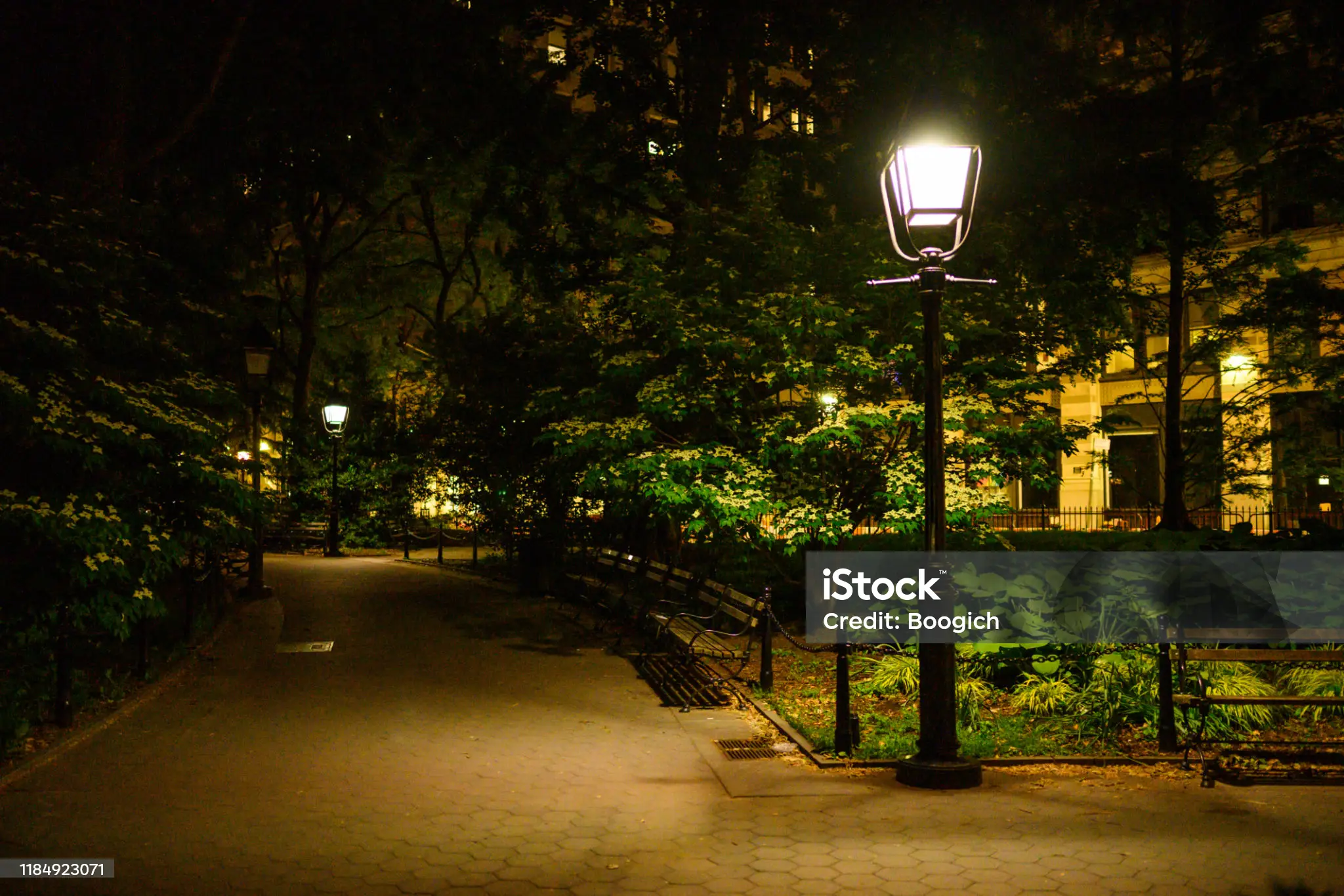 All-night streetlights can make leaves inedible to insects