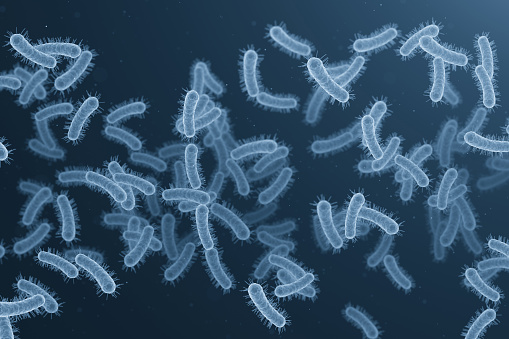 Legionellosis disease