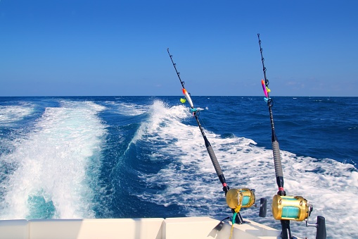 Ban by coastal States on purse seine fishing not justified