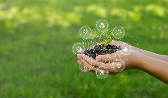 Sustainable Finance committee submits report to IFSCA