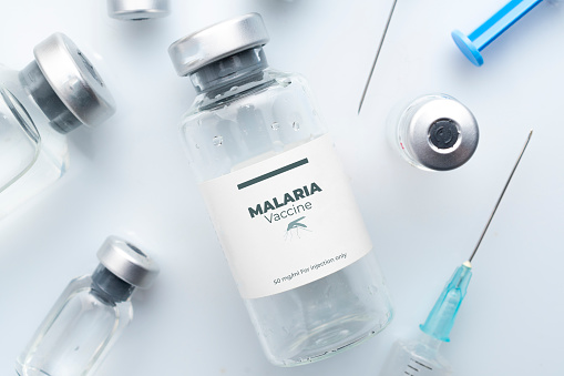 World malaria report 2022