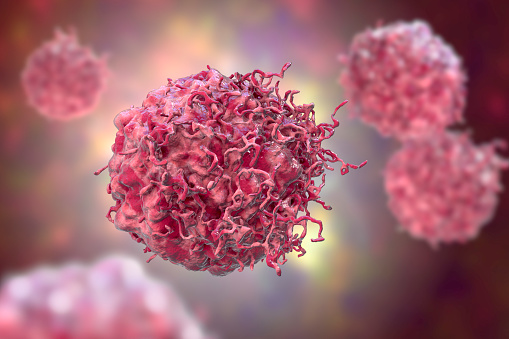 Govt to provide cervical cancer vaccine to girls in school
