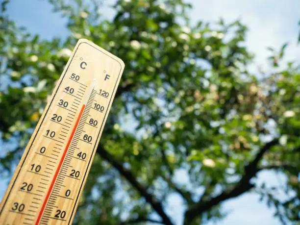 2.2 billion people could face heat waves beyond survival limit: Study