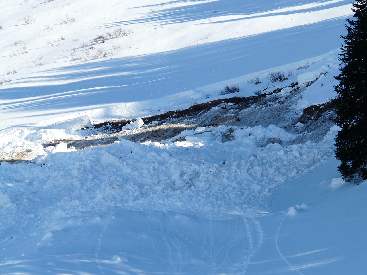 Aavalanche in Uttarakhand