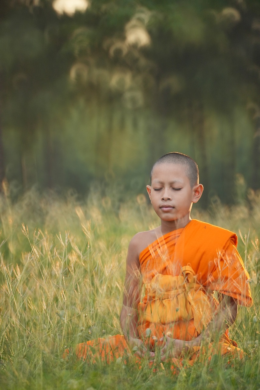 International Yoga Day