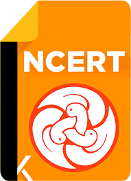 NCERT's Key 19-Member Panel To Develop Textbooks, Syllabus