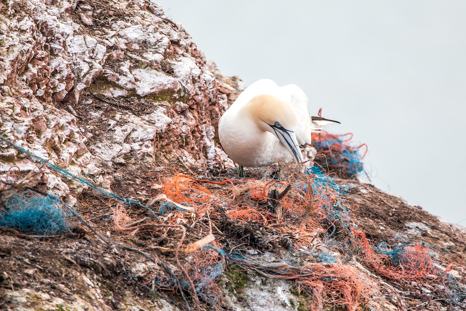 Prevention of Marine Litter