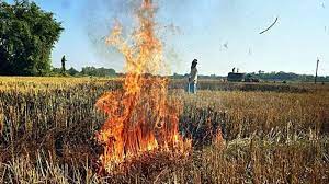 Problem of Stubble burning