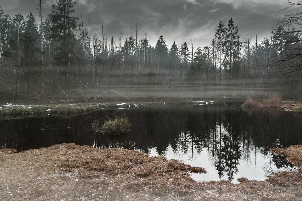 Centre for Wetland Conservation and Management