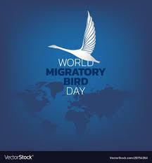 World Migratory Bird Day